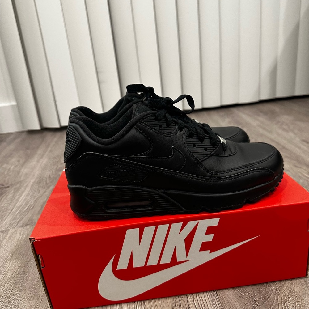 Nike Air Max Shoes